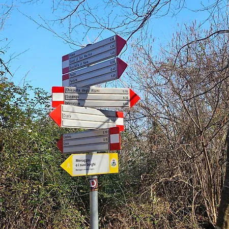Foresta מנאג'יו