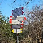 Foresta Менаджо