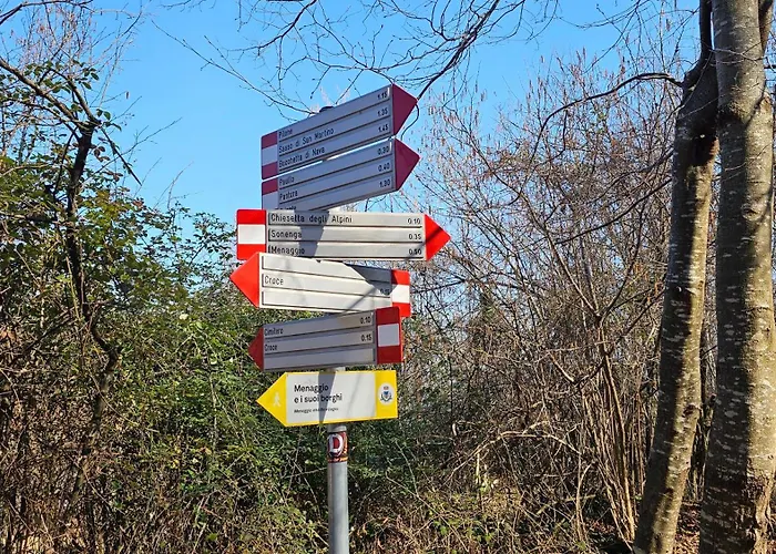 Foresta Menaggio